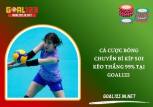 Cá cược bóng chuyền